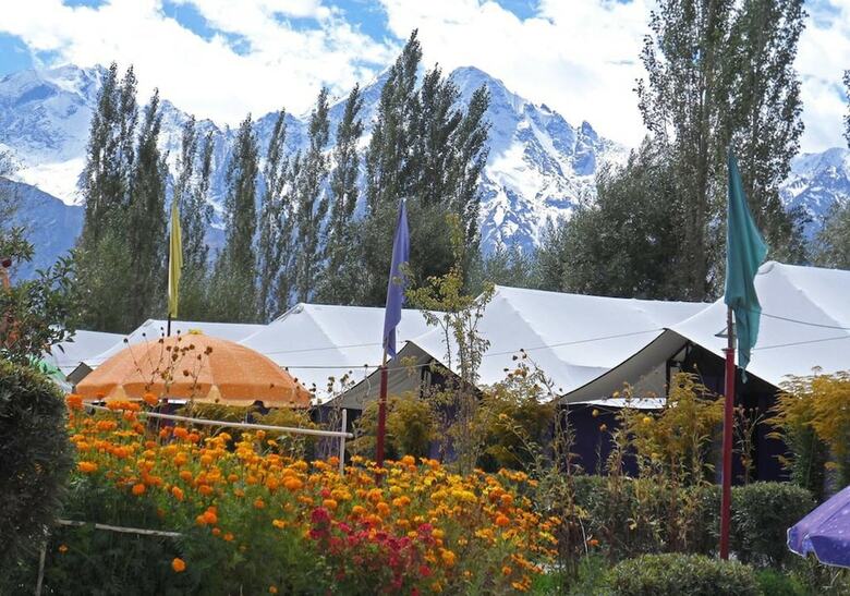 Tiger Camp