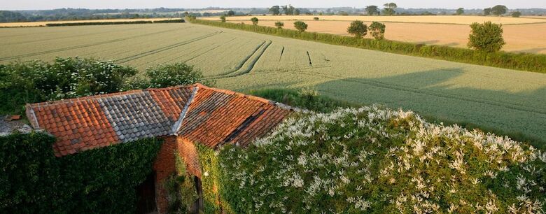 Bed & Breakfast The Saracen's Head