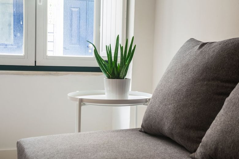 Apartamentos Santos Classic By Homing