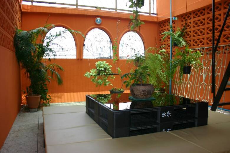 Hostal Born Free Hostel