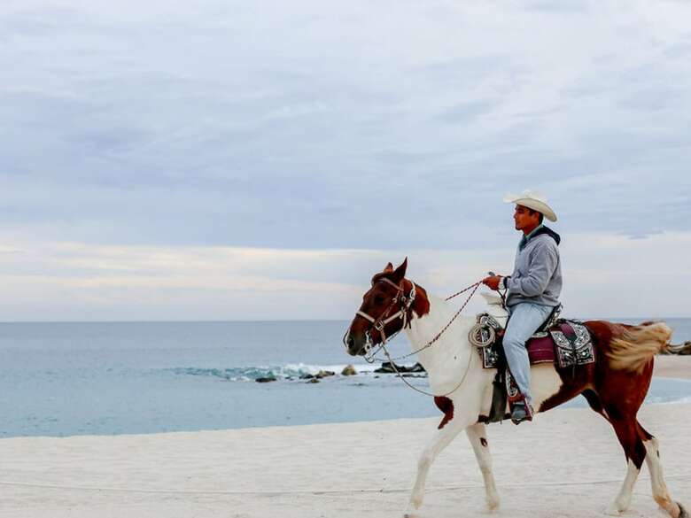 Hotel Hilton Los Cabos Beach & Golf Resort