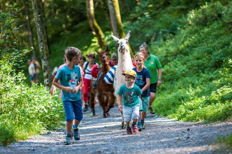 Alpenblick Sport- & Familienhotel