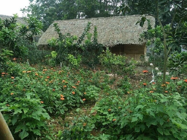 Hostal Family Homestay Ba VI - Hostel