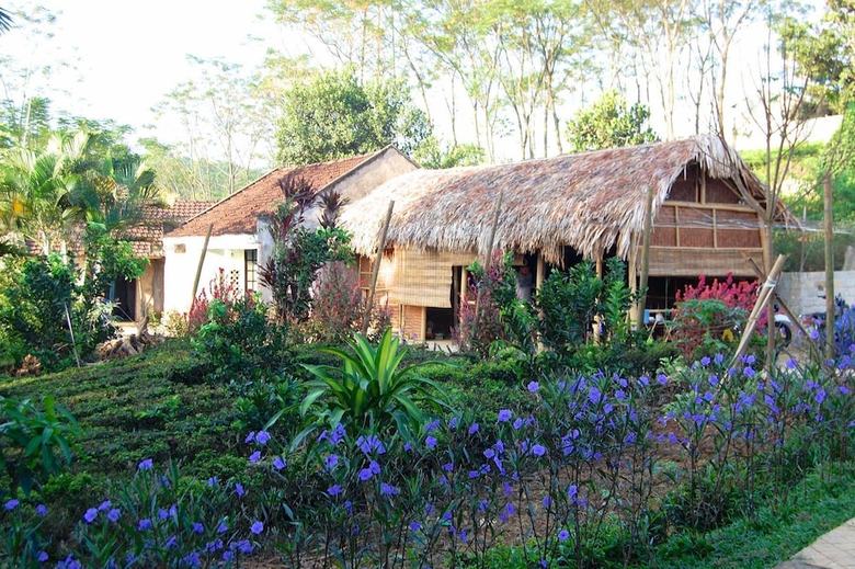 Hostal Family Homestay Ba VI - Hostel