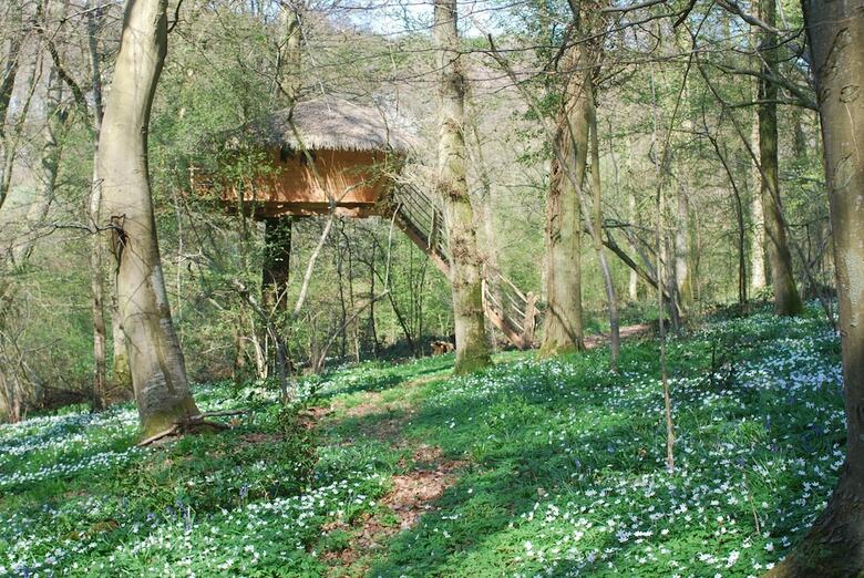 Les Cabanes De La Chauss�e