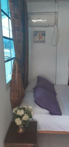 Hostal Posada Nativa Miss Zelzel Place