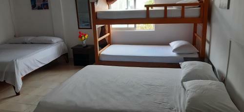 Hostal Posada Nativa Miss Zelzel Place