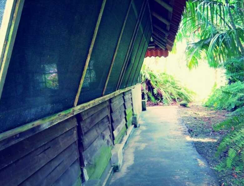 Apartamentos Villas Mar�a Luisa Lodge
