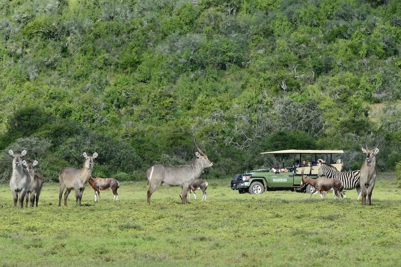 Posada Shamwari Riverdene - All Inclusive