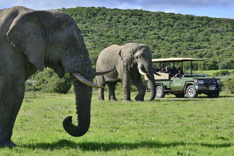 Posada Shamwari Bayethe - All Inclusive