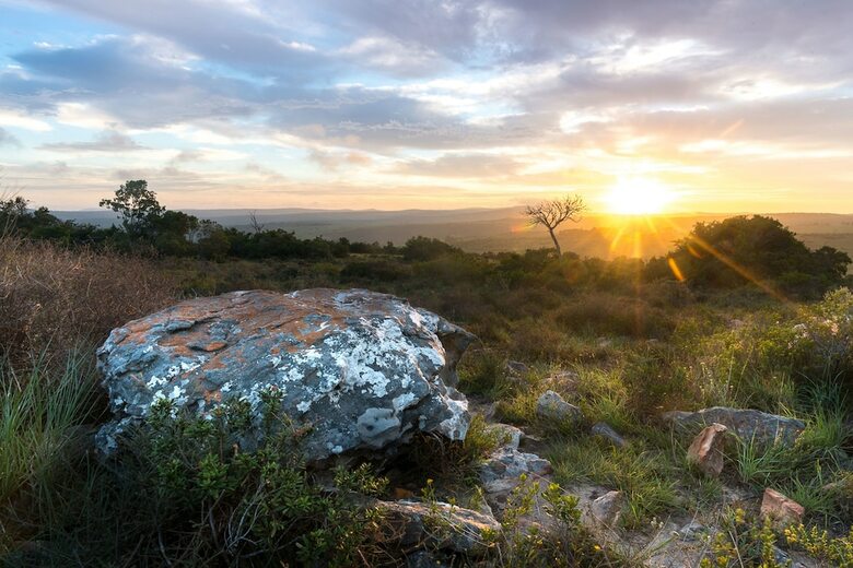 Posada Shamwari Eagles Crag - All Inclusive