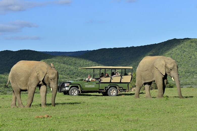 Posada Shamwari Eagles Crag - All Inclusive