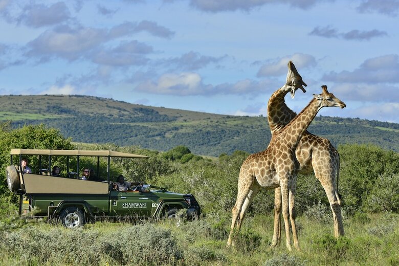 Posada Shamwari Sarili - All Inclusive