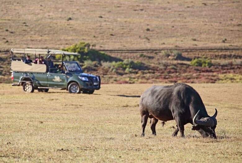Posada Garden Route Game Lodge