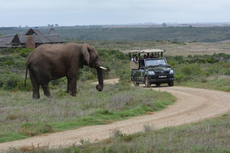 Posada Garden Route Game Lodge