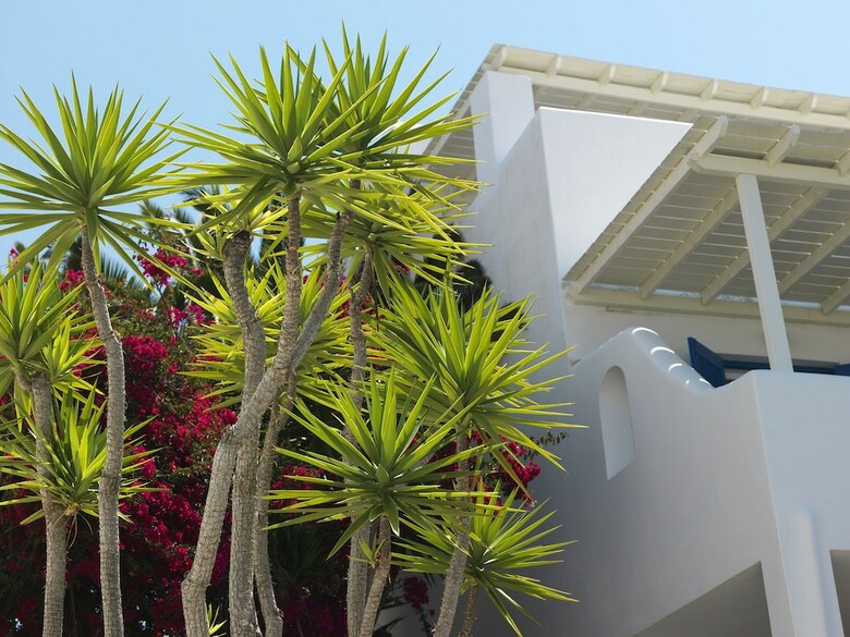 Aloni Hotel