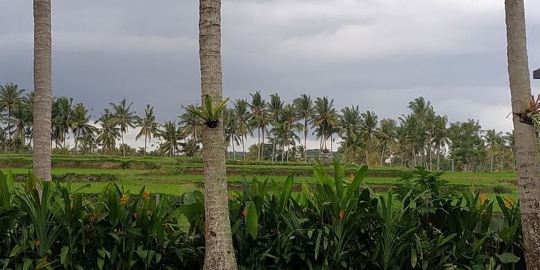Anggira Villa Ubud
