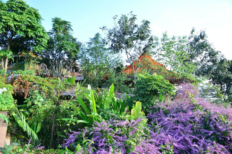 Apartamento Phu Chaisai Mountain Resort