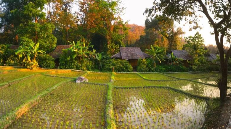 Hotel Fern Resort