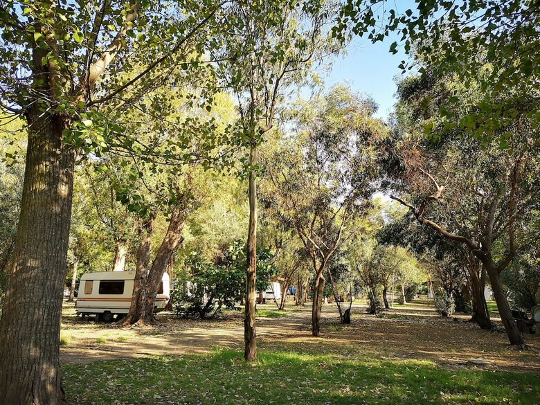 Camping Fico D'india