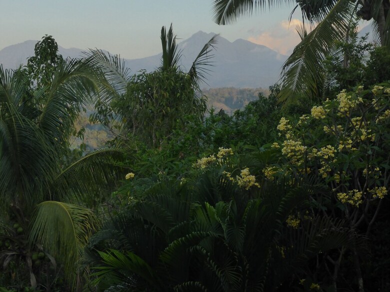 Bed & Breakfast Gunung Paradis Retreat