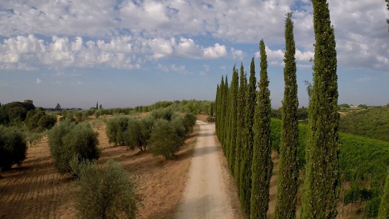Chianti B&B Design