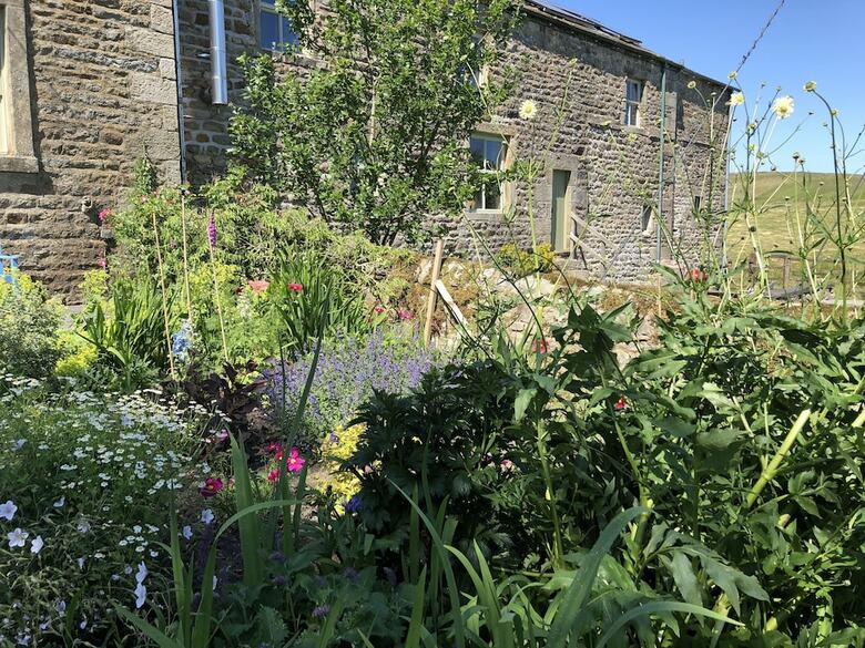 Dale House B&B