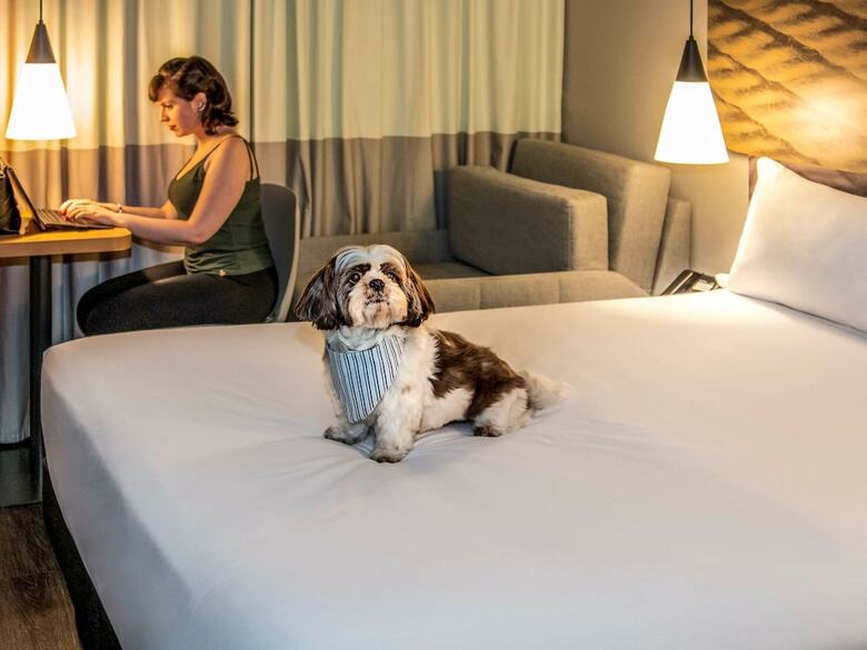 Hotel Ibis Sao Paulo Tatuape