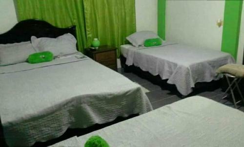 Hostal Posada Spring View