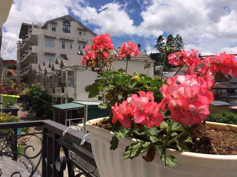 Hotel Jolie House