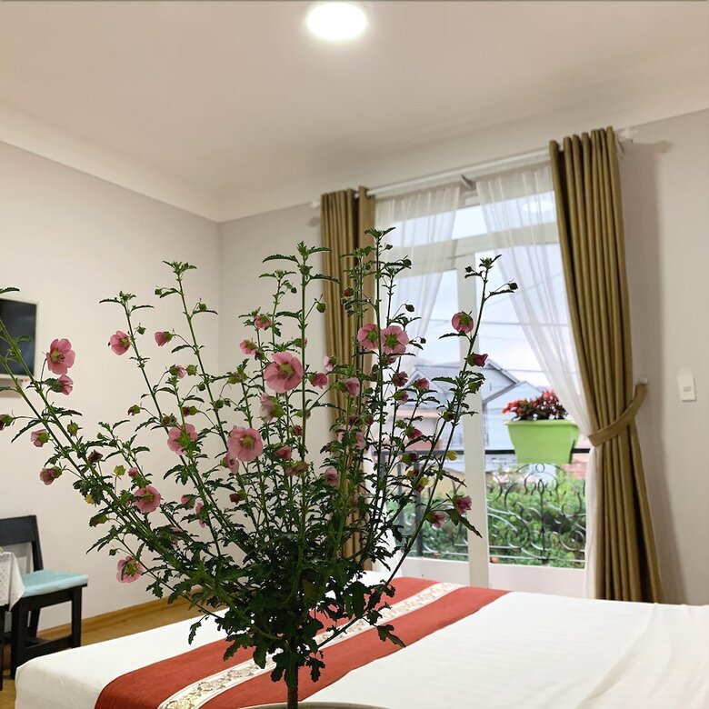 Hotel Jolie House