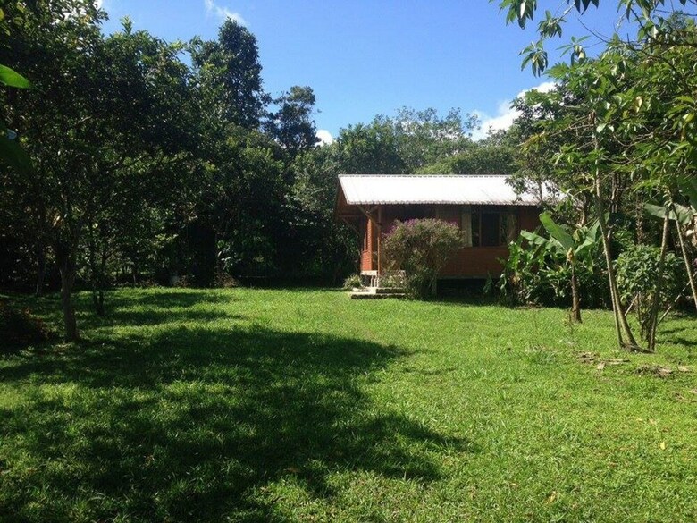 Cabana Casita De Madera Heliconia
