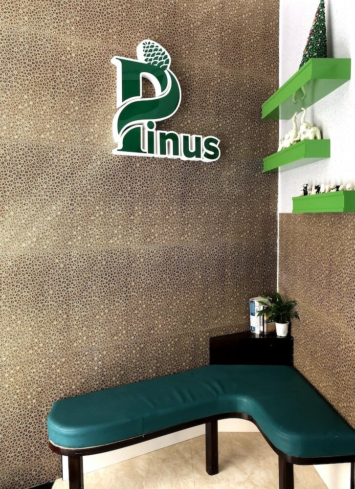 Pinus Hotel
