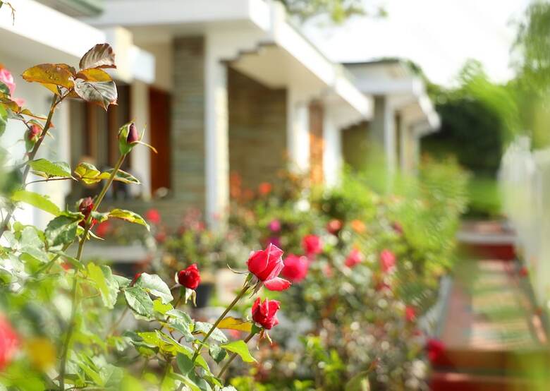 Hotel Elysium Gardens Hill Resorts