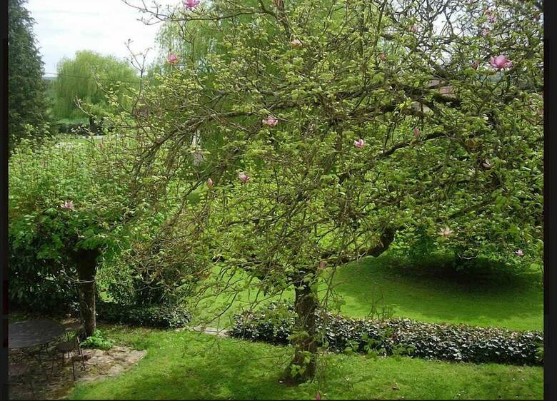Bed & Breakfast La Corne Aux Vaches