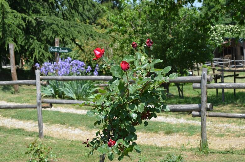 Agroturismo Podere Delle Rose