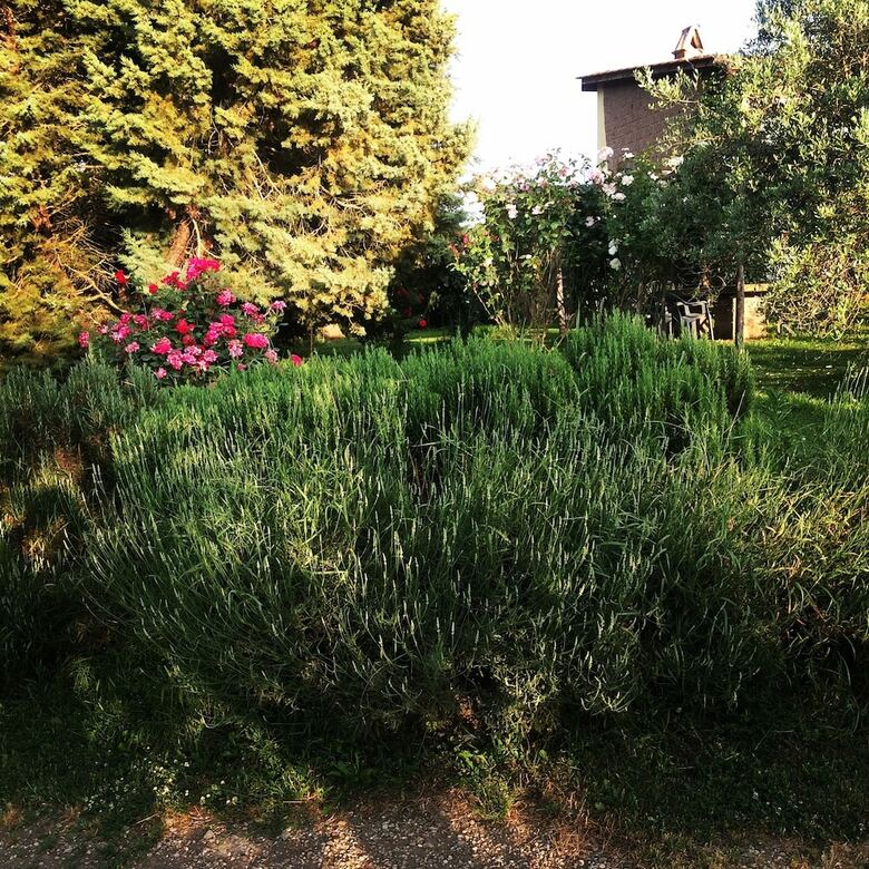 Agroturismo Podere Delle Rose