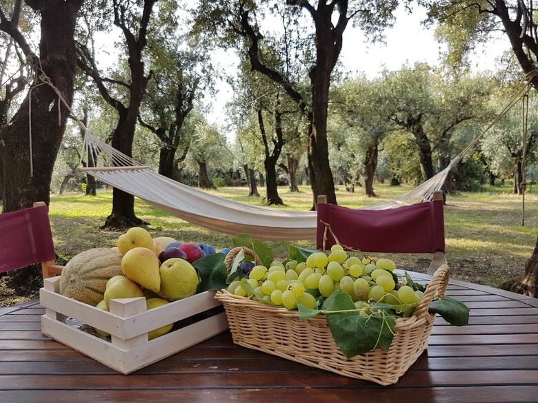 Apartamento Antico Uliveto