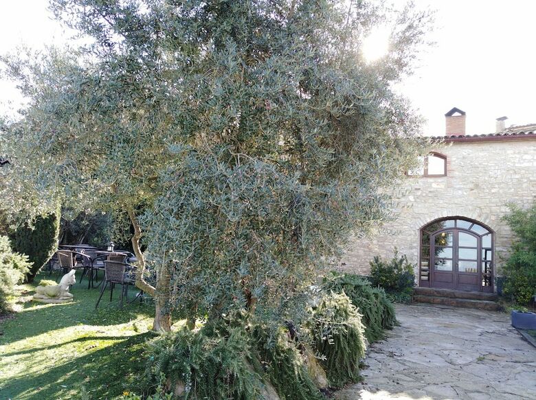 Agroturismo Cal Senyoret