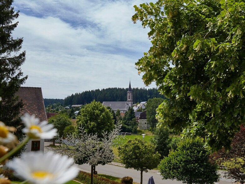 Wellness Golf Und Weinhotel Zum Ochsen