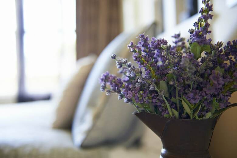 Cambridge Cottage - Self Catering Accom