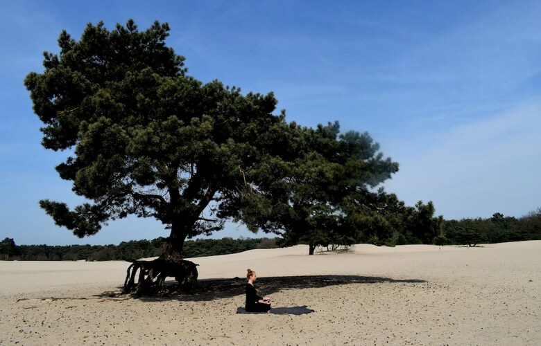 Hotel Doubletree By Hilton Royal Parc Soestduinen