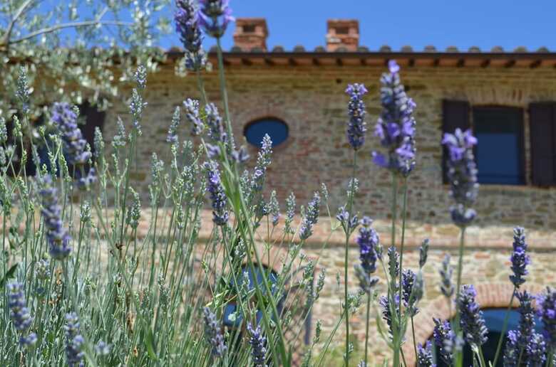 Bed & Breakfast Tuscan Style Eco-farm Molinaccio