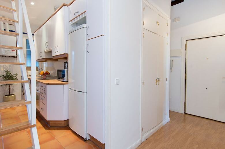 Apartamentos Plaza Santa Ana