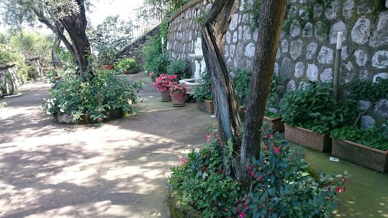 Villa L'ulivina - Near Marina Grande Beach