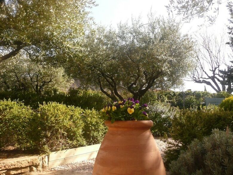 Villa Les Olivettes