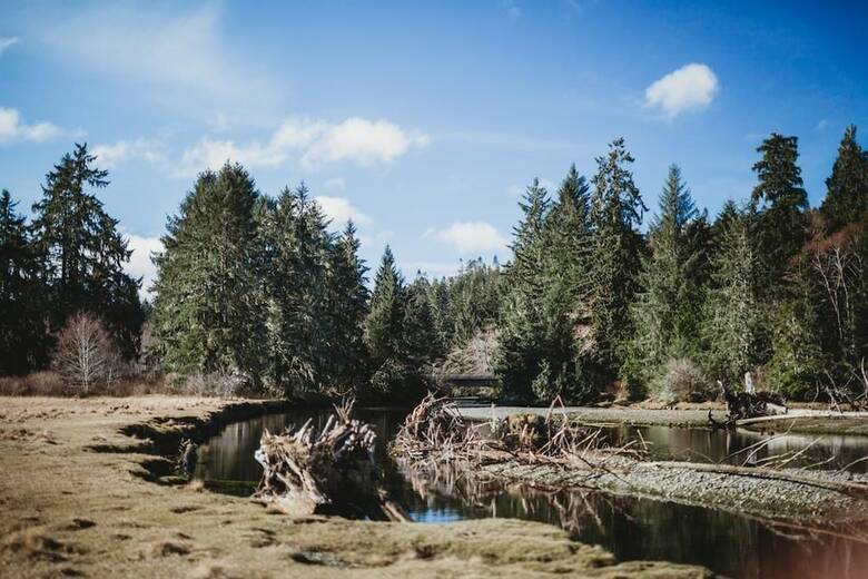 Cabana Port Hardy Rv Resort