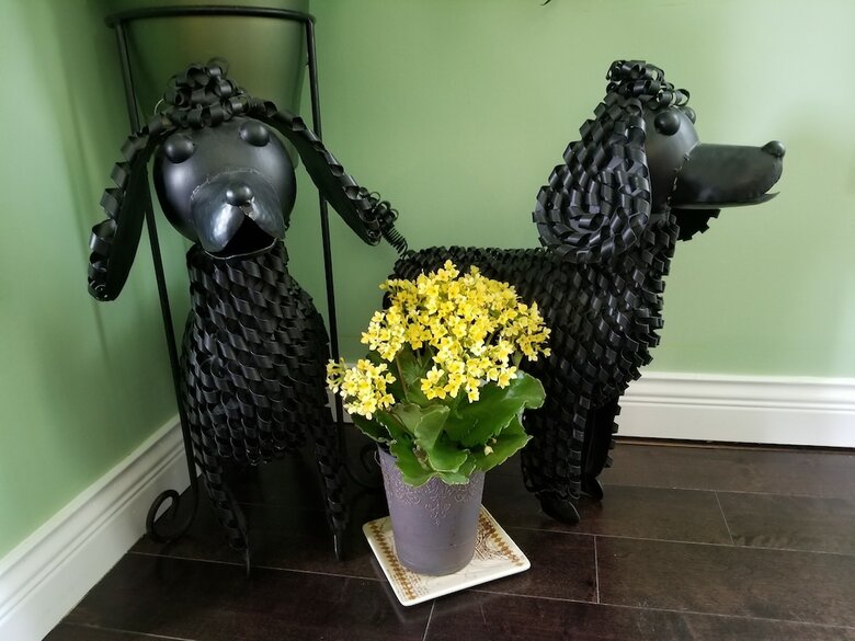 Squamish Highlands Bed And Breakfast