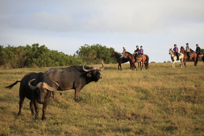 Posada Botlierskop Private Game Reserve