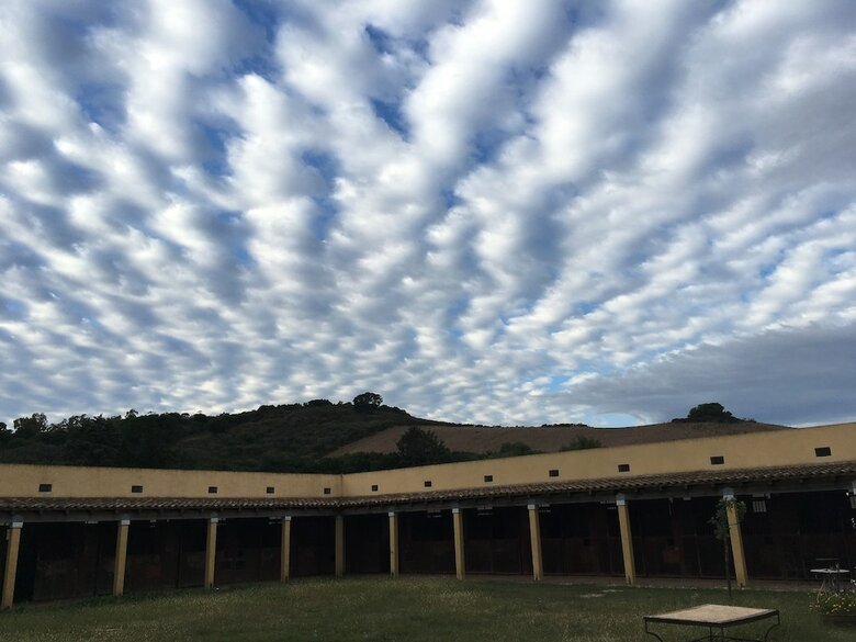 Agroturismo Cavalli Di S'arcaite
